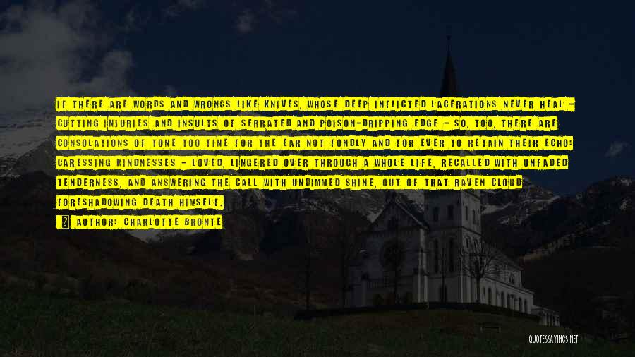 Charlotte Bronte Quotes: If There Are Words And Wrongs Like Knives, Whose Deep Inflicted Lacerations Never Heal - Cutting Injuries And Insults Of