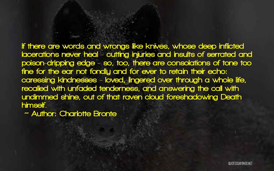 Charlotte Bronte Quotes: If There Are Words And Wrongs Like Knives, Whose Deep Inflicted Lacerations Never Heal - Cutting Injuries And Insults Of