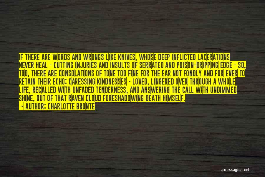 Charlotte Bronte Quotes: If There Are Words And Wrongs Like Knives, Whose Deep Inflicted Lacerations Never Heal - Cutting Injuries And Insults Of