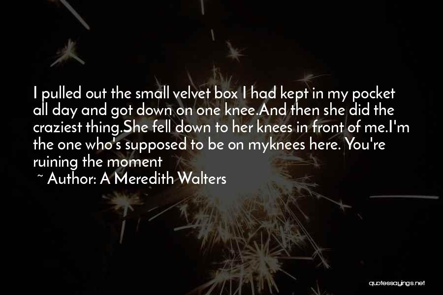 A Meredith Walters Quotes: I Pulled Out The Small Velvet Box I Had Kept In My Pocket All Day And Got Down On One