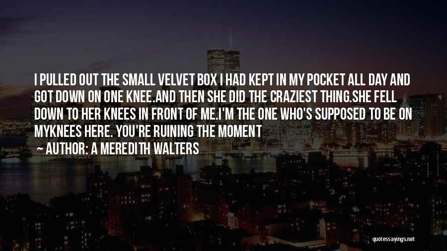 A Meredith Walters Quotes: I Pulled Out The Small Velvet Box I Had Kept In My Pocket All Day And Got Down On One