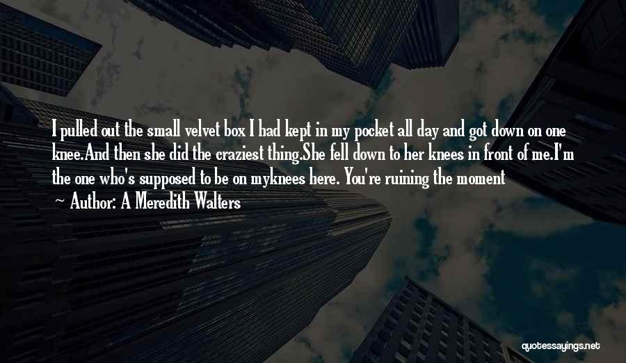 A Meredith Walters Quotes: I Pulled Out The Small Velvet Box I Had Kept In My Pocket All Day And Got Down On One