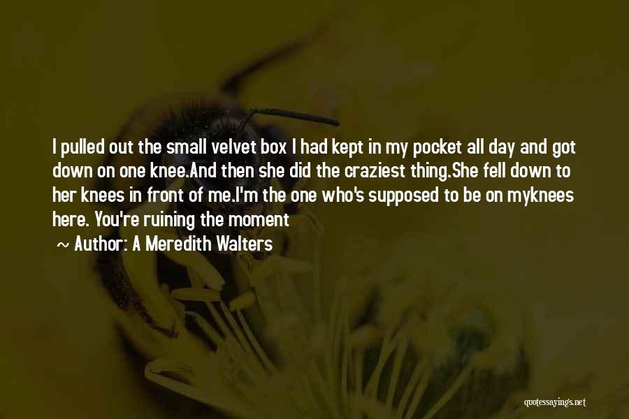 A Meredith Walters Quotes: I Pulled Out The Small Velvet Box I Had Kept In My Pocket All Day And Got Down On One