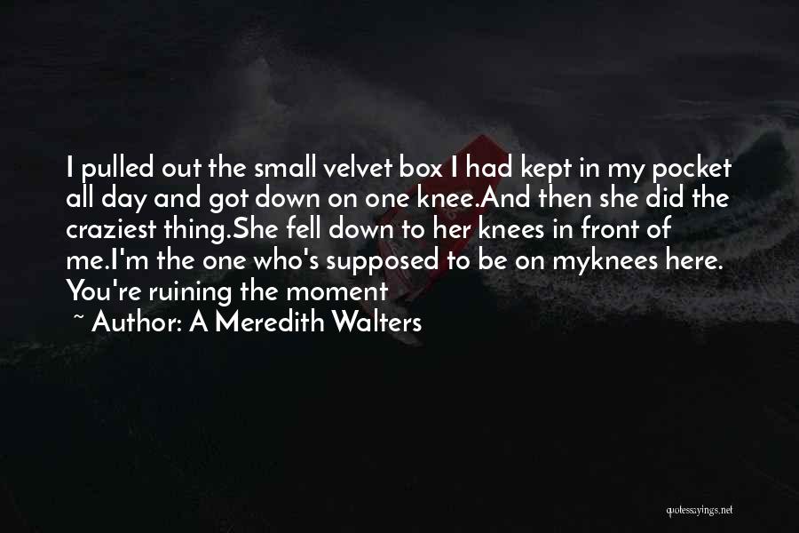 A Meredith Walters Quotes: I Pulled Out The Small Velvet Box I Had Kept In My Pocket All Day And Got Down On One