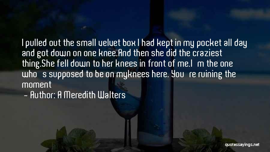 A Meredith Walters Quotes: I Pulled Out The Small Velvet Box I Had Kept In My Pocket All Day And Got Down On One
