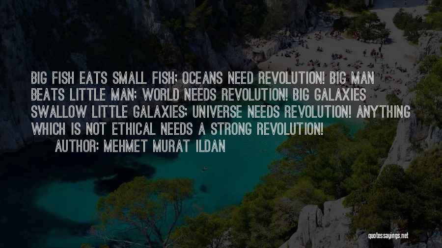 Mehmet Murat Ildan Quotes: Big Fish Eats Small Fish; Oceans Need Revolution! Big Man Beats Little Man; World Needs Revolution! Big Galaxies Swallow Little