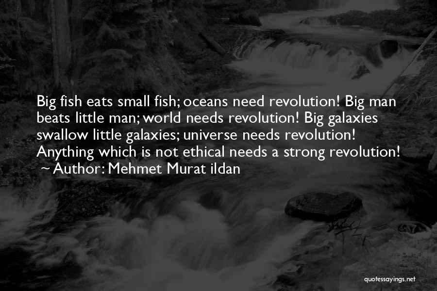 Mehmet Murat Ildan Quotes: Big Fish Eats Small Fish; Oceans Need Revolution! Big Man Beats Little Man; World Needs Revolution! Big Galaxies Swallow Little