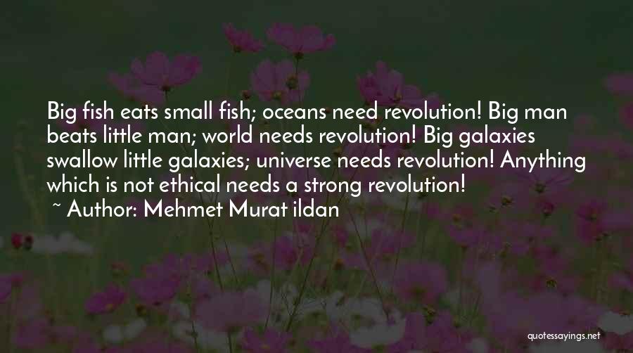 Mehmet Murat Ildan Quotes: Big Fish Eats Small Fish; Oceans Need Revolution! Big Man Beats Little Man; World Needs Revolution! Big Galaxies Swallow Little