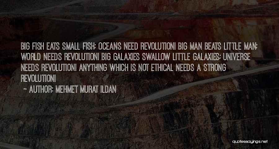 Mehmet Murat Ildan Quotes: Big Fish Eats Small Fish; Oceans Need Revolution! Big Man Beats Little Man; World Needs Revolution! Big Galaxies Swallow Little