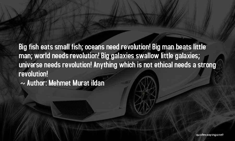 Mehmet Murat Ildan Quotes: Big Fish Eats Small Fish; Oceans Need Revolution! Big Man Beats Little Man; World Needs Revolution! Big Galaxies Swallow Little