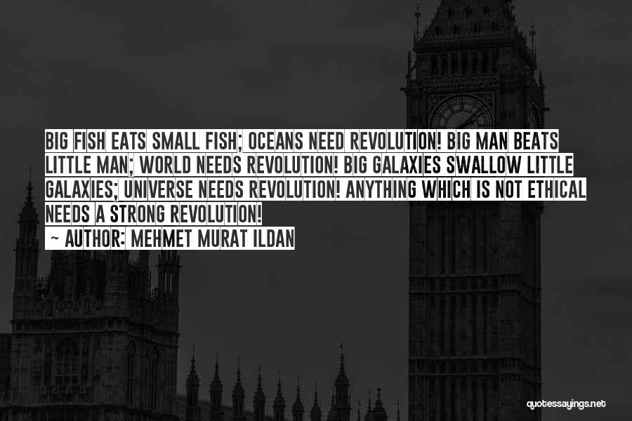 Mehmet Murat Ildan Quotes: Big Fish Eats Small Fish; Oceans Need Revolution! Big Man Beats Little Man; World Needs Revolution! Big Galaxies Swallow Little