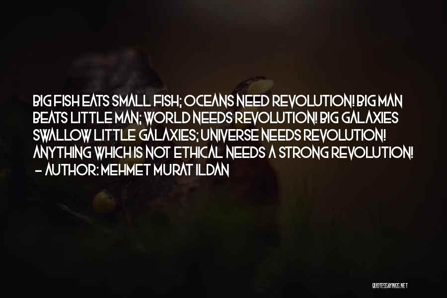 Mehmet Murat Ildan Quotes: Big Fish Eats Small Fish; Oceans Need Revolution! Big Man Beats Little Man; World Needs Revolution! Big Galaxies Swallow Little