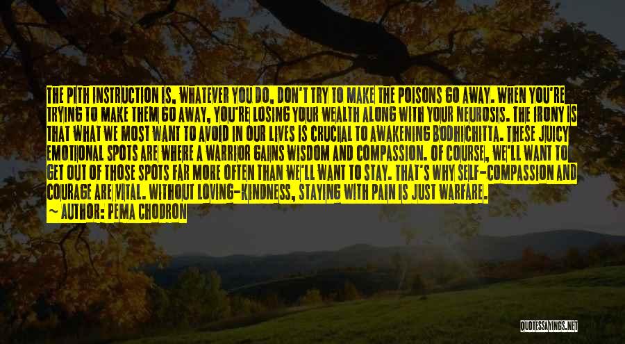 Pema Chodron Quotes: The Pith Instruction Is, Whatever You Do, Don't Try To Make The Poisons Go Away. When You're Trying To Make