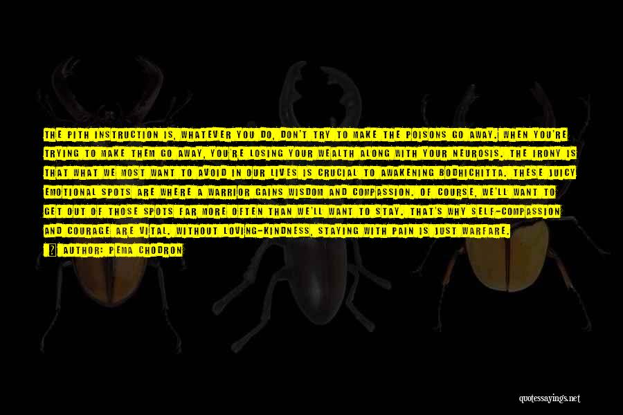 Pema Chodron Quotes: The Pith Instruction Is, Whatever You Do, Don't Try To Make The Poisons Go Away. When You're Trying To Make