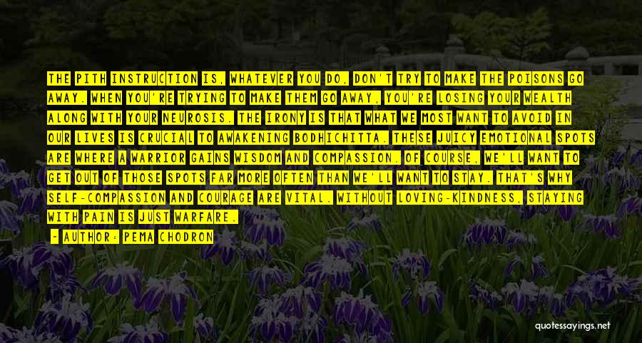 Pema Chodron Quotes: The Pith Instruction Is, Whatever You Do, Don't Try To Make The Poisons Go Away. When You're Trying To Make