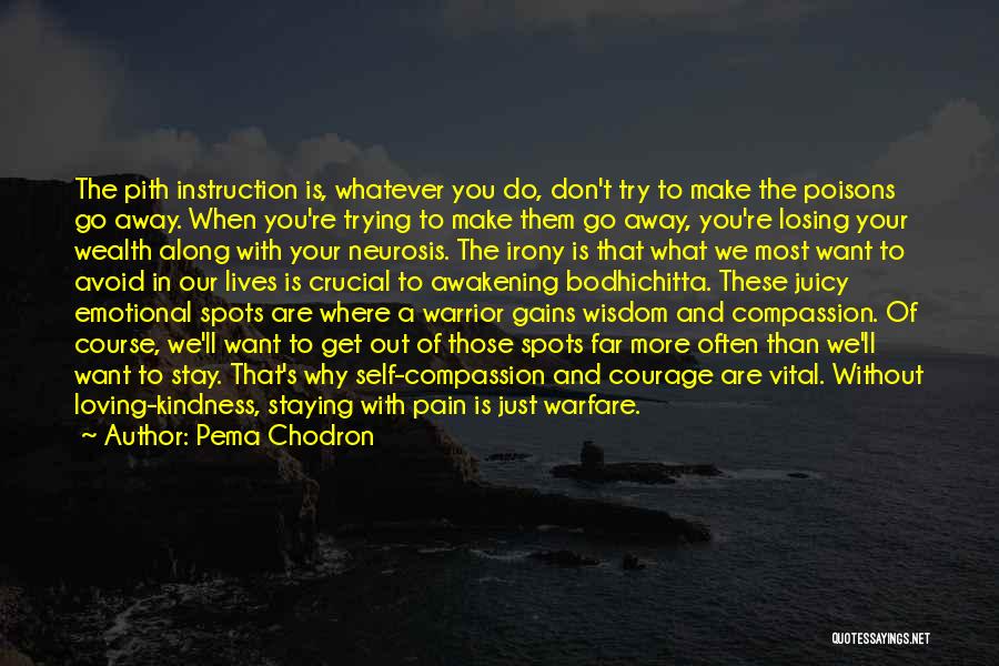 Pema Chodron Quotes: The Pith Instruction Is, Whatever You Do, Don't Try To Make The Poisons Go Away. When You're Trying To Make