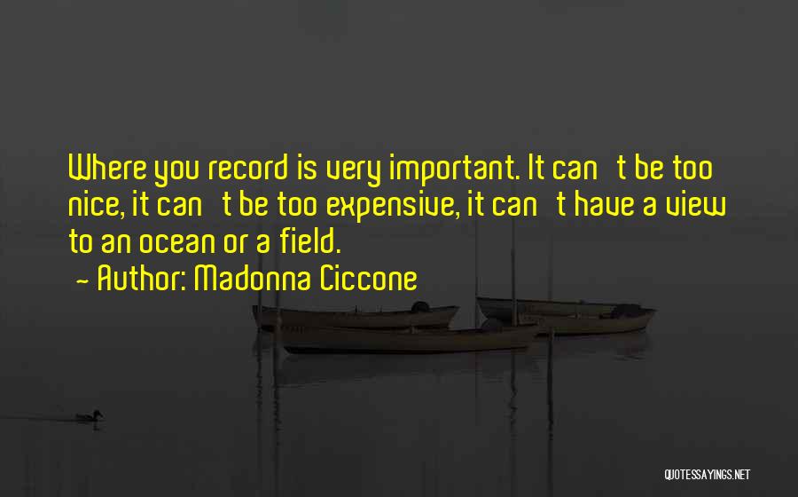 Madonna Ciccone Quotes: Where You Record Is Very Important. It Can't Be Too Nice, It Can't Be Too Expensive, It Can't Have A