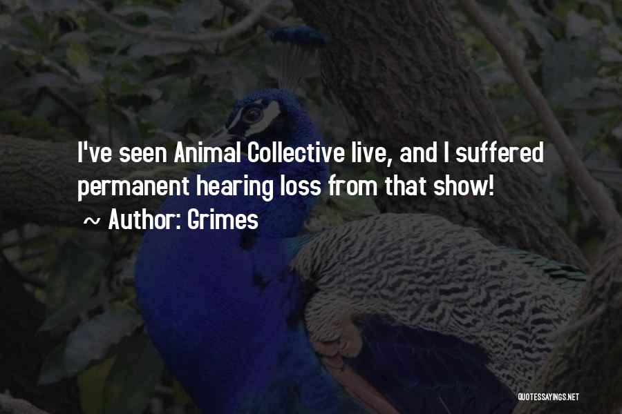 Grimes Quotes: I've Seen Animal Collective Live, And I Suffered Permanent Hearing Loss From That Show!