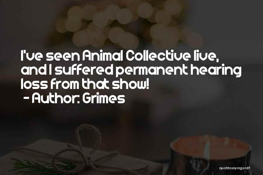 Grimes Quotes: I've Seen Animal Collective Live, And I Suffered Permanent Hearing Loss From That Show!