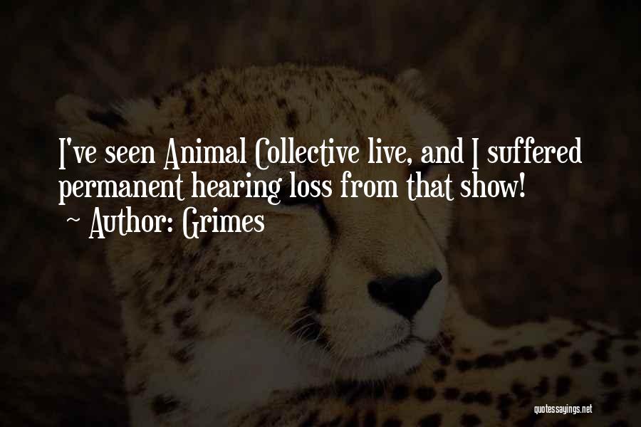 Grimes Quotes: I've Seen Animal Collective Live, And I Suffered Permanent Hearing Loss From That Show!