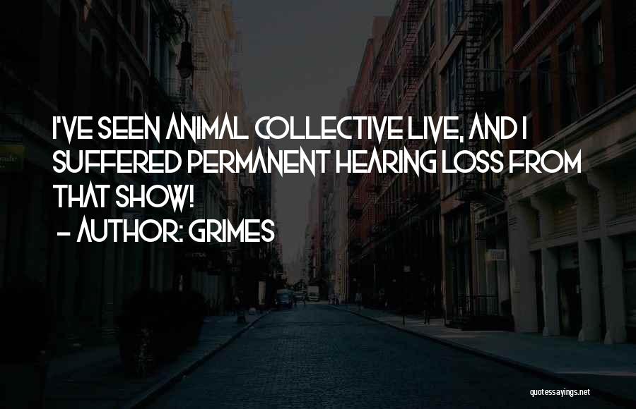 Grimes Quotes: I've Seen Animal Collective Live, And I Suffered Permanent Hearing Loss From That Show!