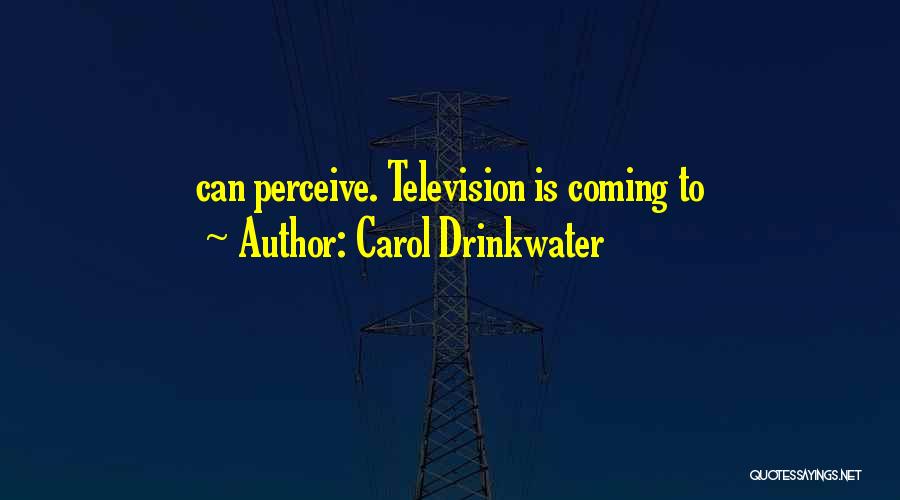 Carol Drinkwater Quotes: Can Perceive. Television Is Coming To