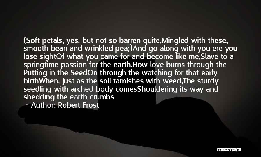 Robert Frost Quotes: (soft Petals, Yes, But Not So Barren Quite,mingled With These, Smooth Bean And Wrinkled Pea;)and Go Along With You Ere