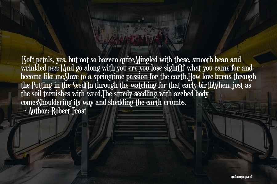 Robert Frost Quotes: (soft Petals, Yes, But Not So Barren Quite,mingled With These, Smooth Bean And Wrinkled Pea;)and Go Along With You Ere