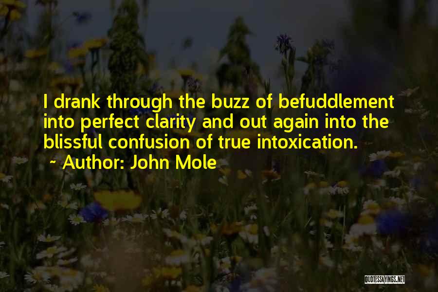 John Mole Quotes: I Drank Through The Buzz Of Befuddlement Into Perfect Clarity And Out Again Into The Blissful Confusion Of True Intoxication.