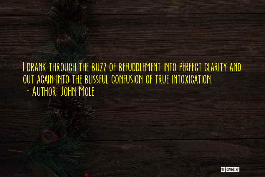 John Mole Quotes: I Drank Through The Buzz Of Befuddlement Into Perfect Clarity And Out Again Into The Blissful Confusion Of True Intoxication.