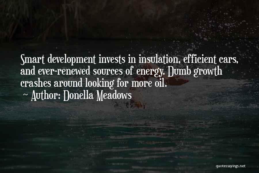 Donella Meadows Quotes: Smart Development Invests In Insulation, Efficient Cars, And Ever-renewed Sources Of Energy. Dumb Growth Crashes Around Looking For More Oil.