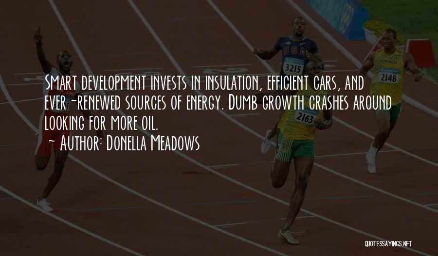 Donella Meadows Quotes: Smart Development Invests In Insulation, Efficient Cars, And Ever-renewed Sources Of Energy. Dumb Growth Crashes Around Looking For More Oil.