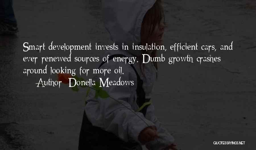 Donella Meadows Quotes: Smart Development Invests In Insulation, Efficient Cars, And Ever-renewed Sources Of Energy. Dumb Growth Crashes Around Looking For More Oil.