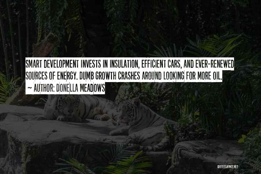 Donella Meadows Quotes: Smart Development Invests In Insulation, Efficient Cars, And Ever-renewed Sources Of Energy. Dumb Growth Crashes Around Looking For More Oil.