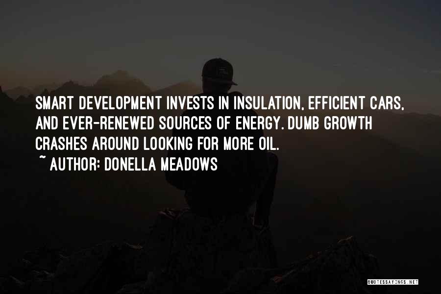 Donella Meadows Quotes: Smart Development Invests In Insulation, Efficient Cars, And Ever-renewed Sources Of Energy. Dumb Growth Crashes Around Looking For More Oil.