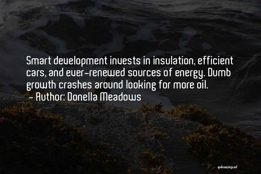 Donella Meadows Quotes: Smart Development Invests In Insulation, Efficient Cars, And Ever-renewed Sources Of Energy. Dumb Growth Crashes Around Looking For More Oil.
