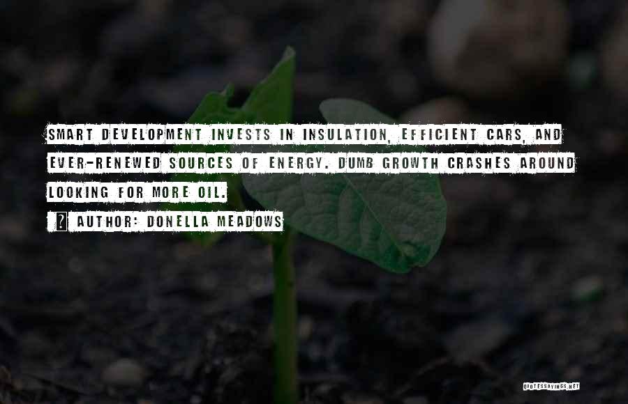 Donella Meadows Quotes: Smart Development Invests In Insulation, Efficient Cars, And Ever-renewed Sources Of Energy. Dumb Growth Crashes Around Looking For More Oil.