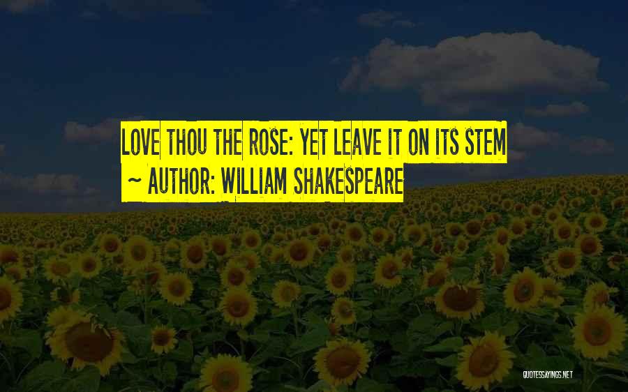 William Shakespeare Quotes: Love Thou The Rose: Yet Leave It On Its Stem