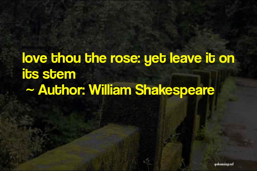 William Shakespeare Quotes: Love Thou The Rose: Yet Leave It On Its Stem