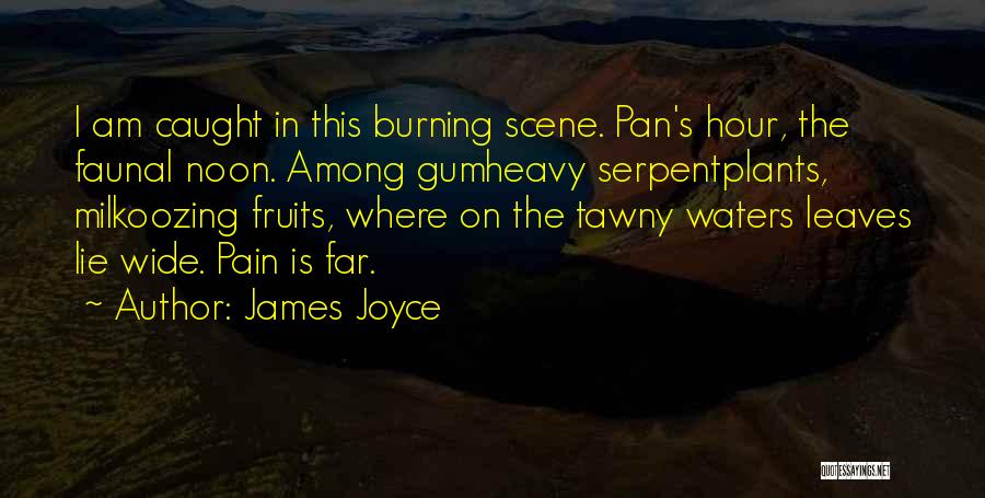 James Joyce Quotes: I Am Caught In This Burning Scene. Pan's Hour, The Faunal Noon. Among Gumheavy Serpentplants, Milkoozing Fruits, Where On The