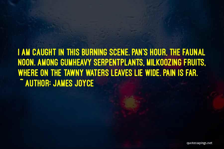 James Joyce Quotes: I Am Caught In This Burning Scene. Pan's Hour, The Faunal Noon. Among Gumheavy Serpentplants, Milkoozing Fruits, Where On The