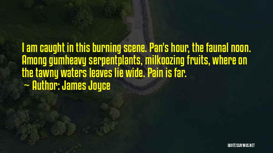 James Joyce Quotes: I Am Caught In This Burning Scene. Pan's Hour, The Faunal Noon. Among Gumheavy Serpentplants, Milkoozing Fruits, Where On The