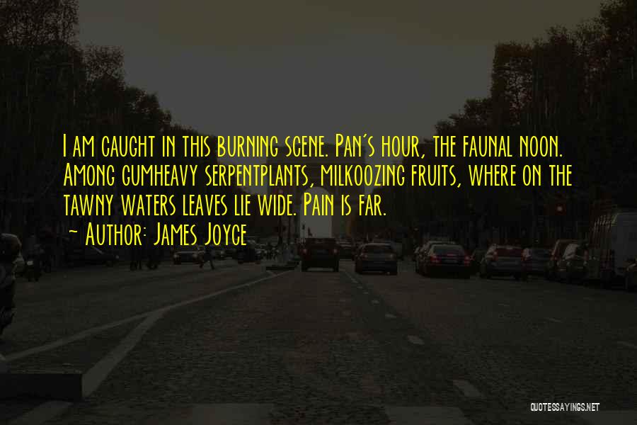 James Joyce Quotes: I Am Caught In This Burning Scene. Pan's Hour, The Faunal Noon. Among Gumheavy Serpentplants, Milkoozing Fruits, Where On The