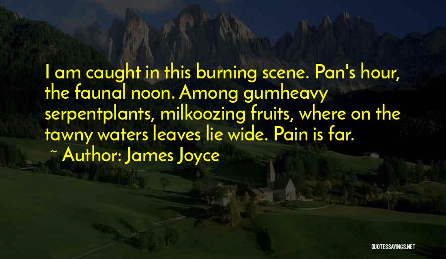 James Joyce Quotes: I Am Caught In This Burning Scene. Pan's Hour, The Faunal Noon. Among Gumheavy Serpentplants, Milkoozing Fruits, Where On The