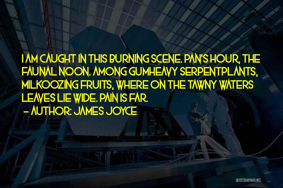 James Joyce Quotes: I Am Caught In This Burning Scene. Pan's Hour, The Faunal Noon. Among Gumheavy Serpentplants, Milkoozing Fruits, Where On The