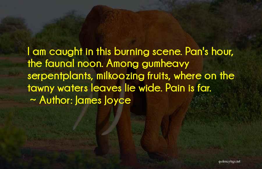 James Joyce Quotes: I Am Caught In This Burning Scene. Pan's Hour, The Faunal Noon. Among Gumheavy Serpentplants, Milkoozing Fruits, Where On The