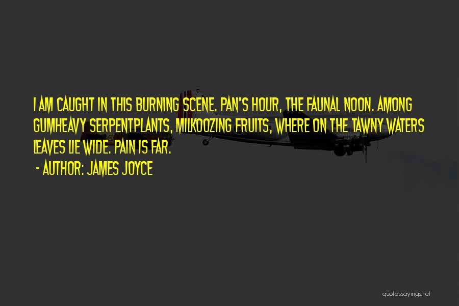 James Joyce Quotes: I Am Caught In This Burning Scene. Pan's Hour, The Faunal Noon. Among Gumheavy Serpentplants, Milkoozing Fruits, Where On The