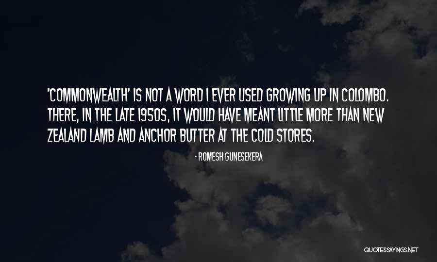 1858 Carbine Quotes By Romesh Gunesekera 1858 Carbine Quotes By Romesh Gunesekera