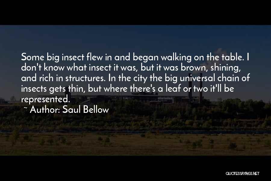 Saul Bellow Quotes: Some Big Insect Flew In And Began Walking On The Table. I Don't Know What Insect It Was, But It