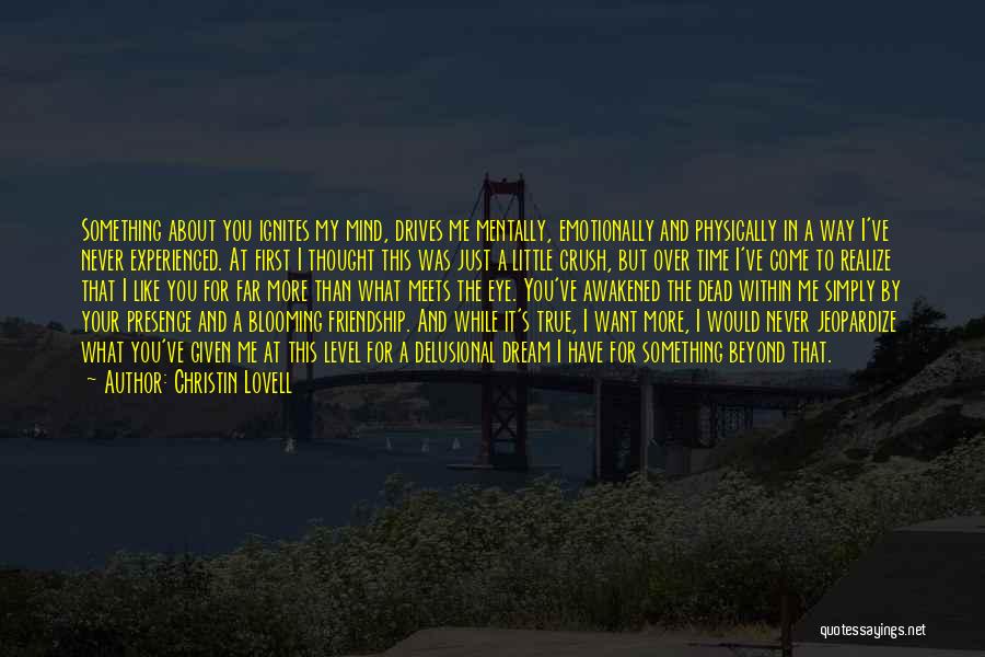 Christin Lovell Quotes: Something About You Ignites My Mind, Drives Me Mentally, Emotionally And Physically In A Way I've Never Experienced. At First